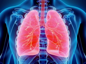 老龄肺部健康（上篇）