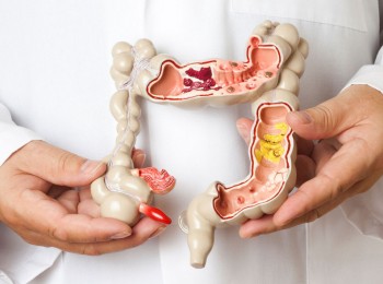 肠胃系列（中篇）结直肠癌