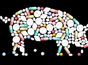 抗生素耐药性（3）从人类到禽畜