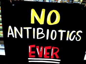 抗生素耐药性（4）无抗时代