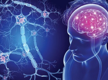 千面疾病：多发性硬化症（上篇）