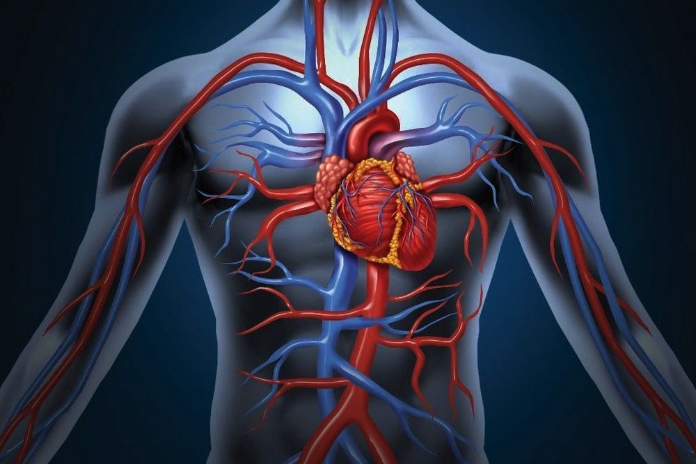 心电错乱 心房颤动（3）