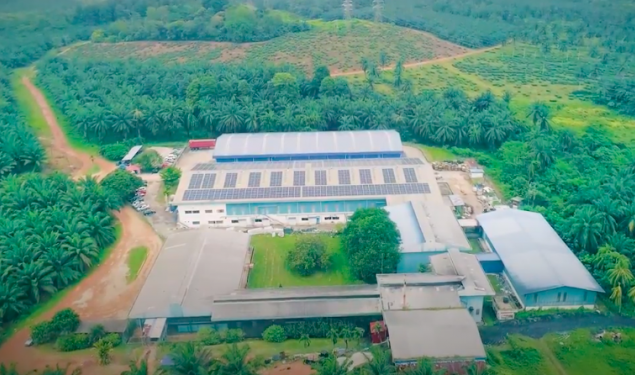 【商企资讯】BOH种植绿能环保 减碳万吨护地球