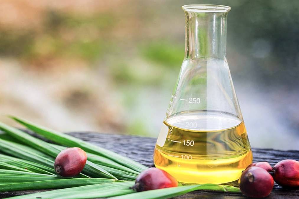 【资讯】红棕油生物活性成分新发现