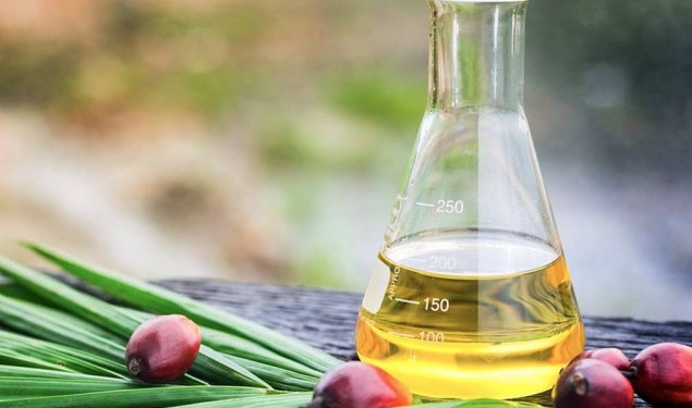 【资讯】红棕油生物活性成分新发现